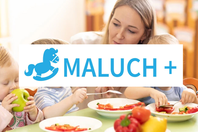 Realizacja projektów w ramach programu MALUCH+